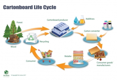 Pro Carton: Cartonboard life cycle