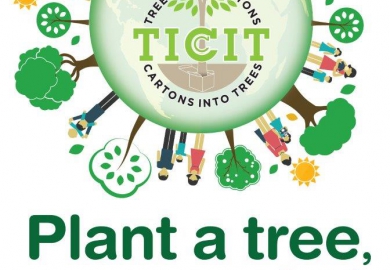 Pro Carton: TICCIT-programma