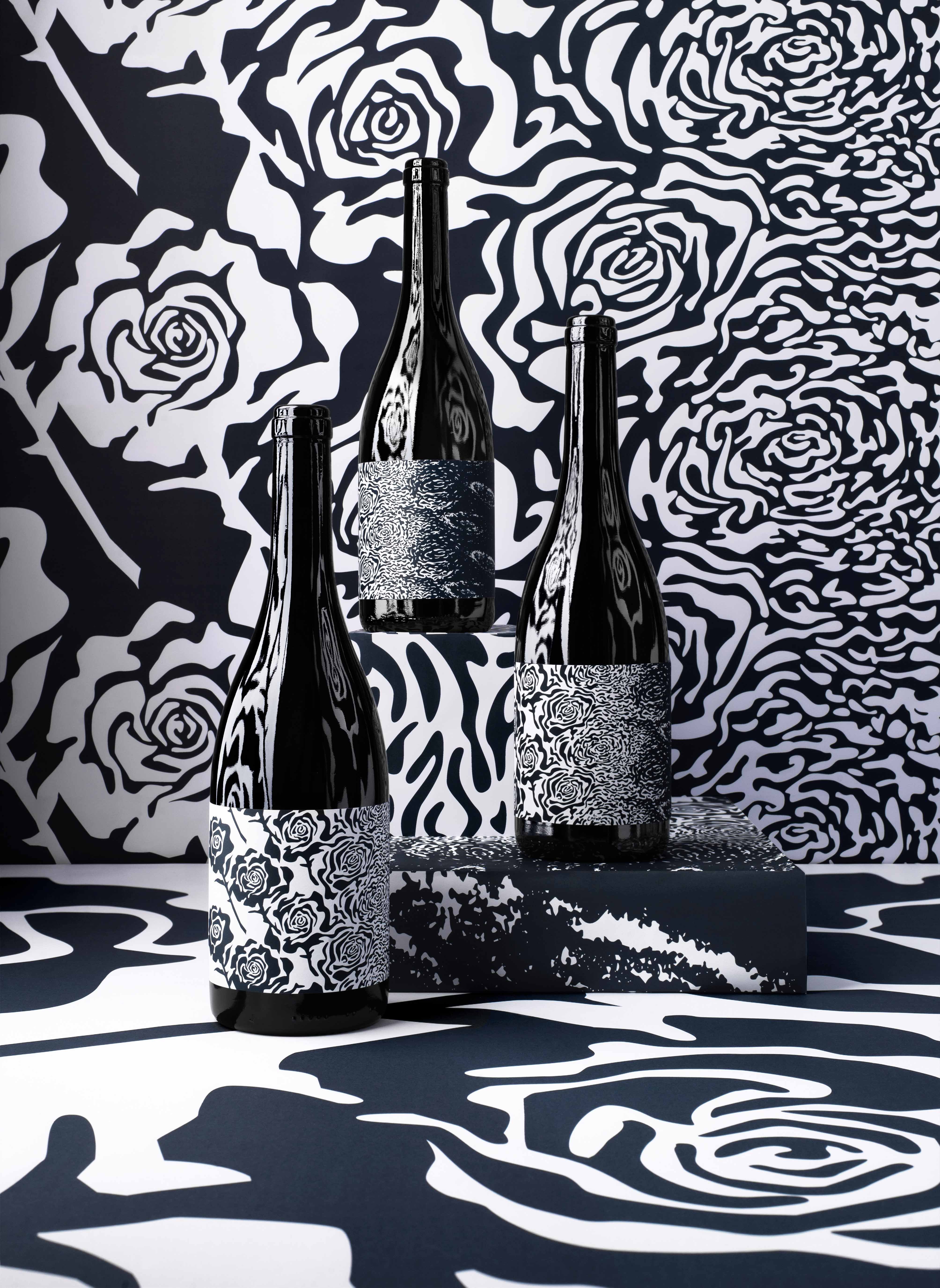Intercellar-lauracornu-rudimentary-3