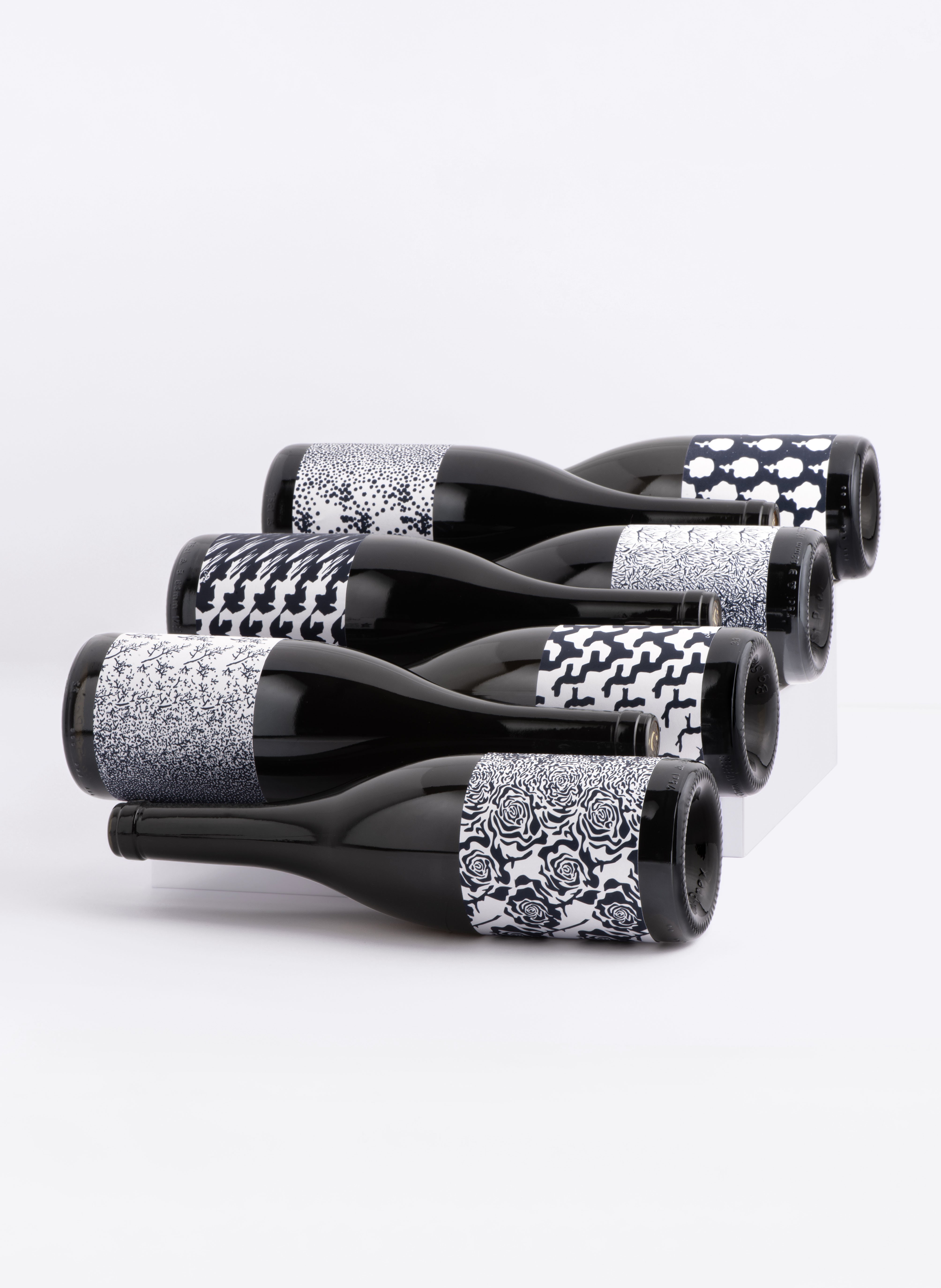 Intercellar-lauracornu-rudimentary-4