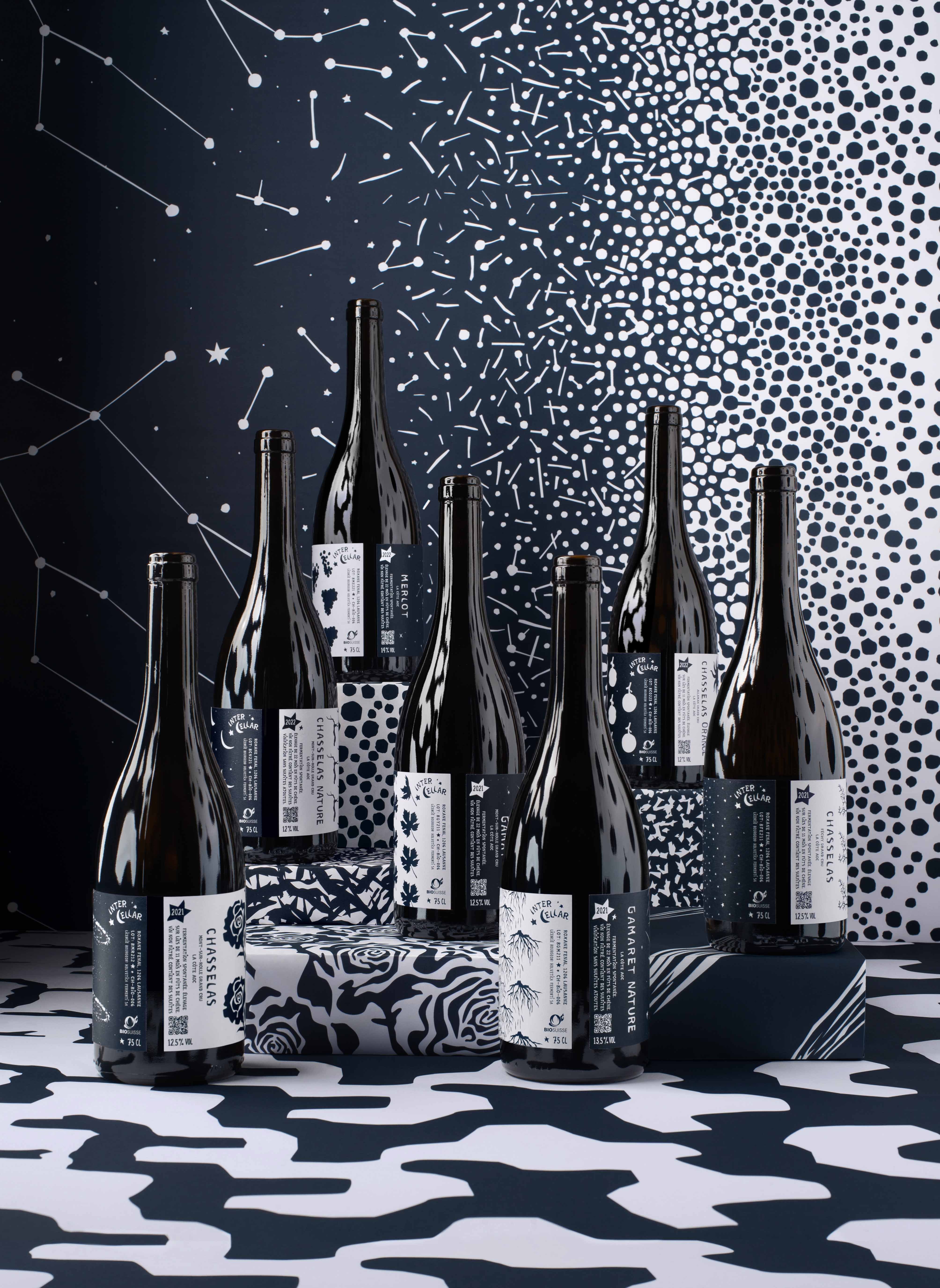 Intercellar-lauracornu-rudimentary-5
