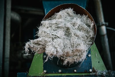 JamesCropper_plastic_removed_from_process