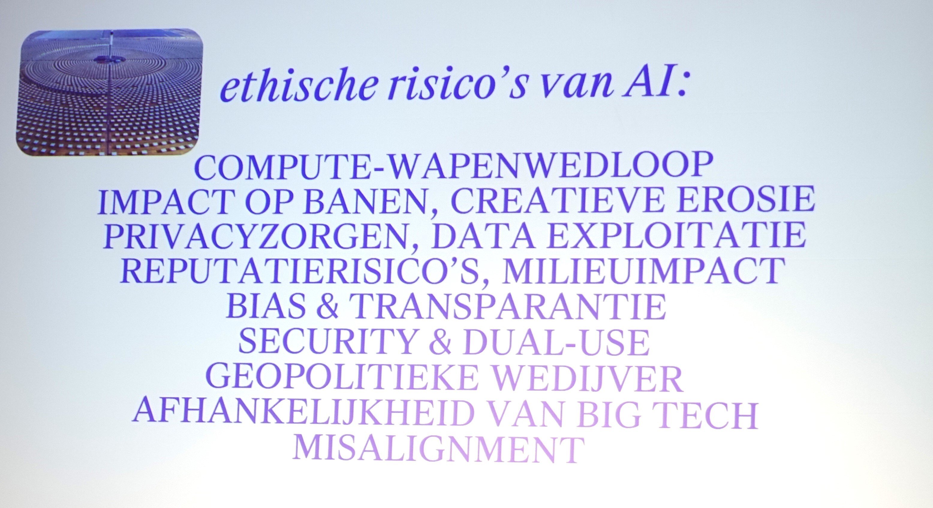 Lisanne Buik, Etische risicos AI