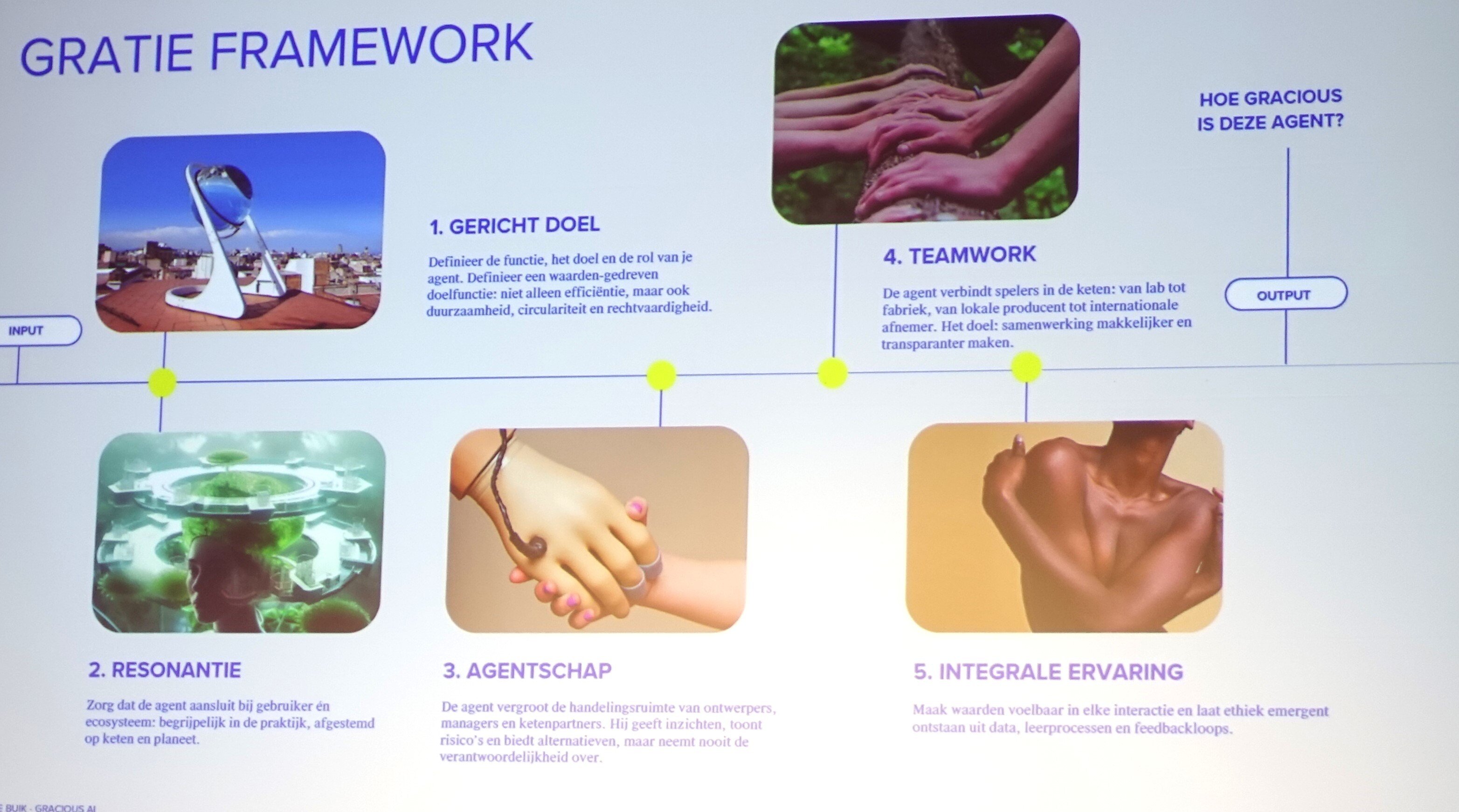 Lisanne Buik, Gratie framework