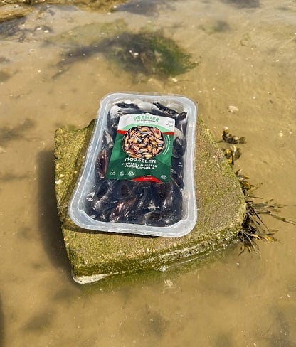 Mosselen - Jumbo in waterLR