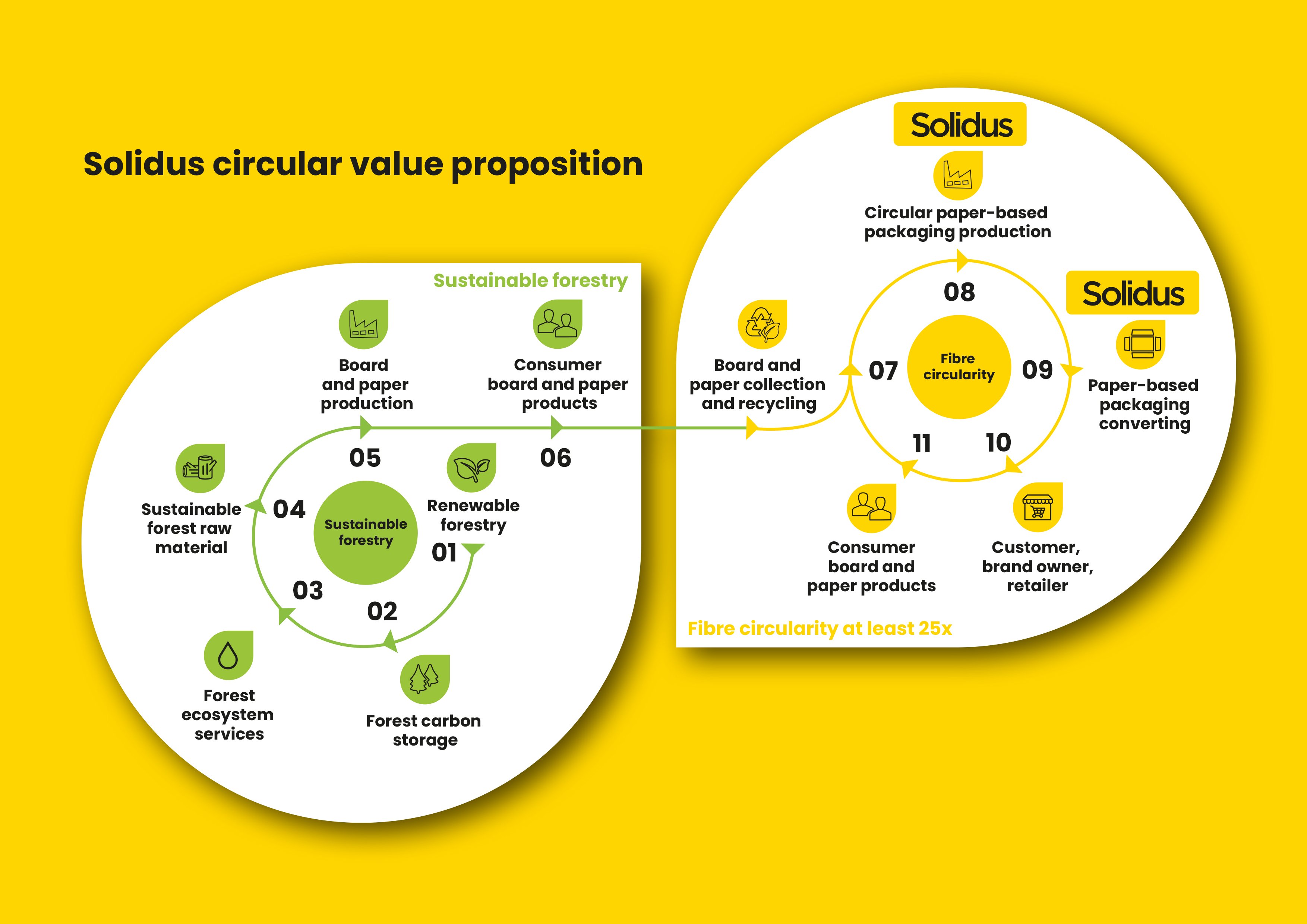 Solidus circular