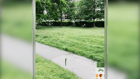 Video LOW  Robinsons Big Fruit Hunt