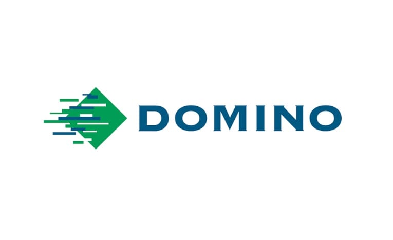 Domino logo