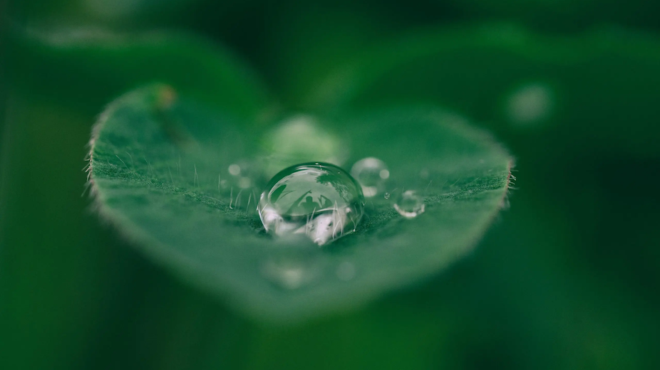 Fromm Nederland duurzaam plastic