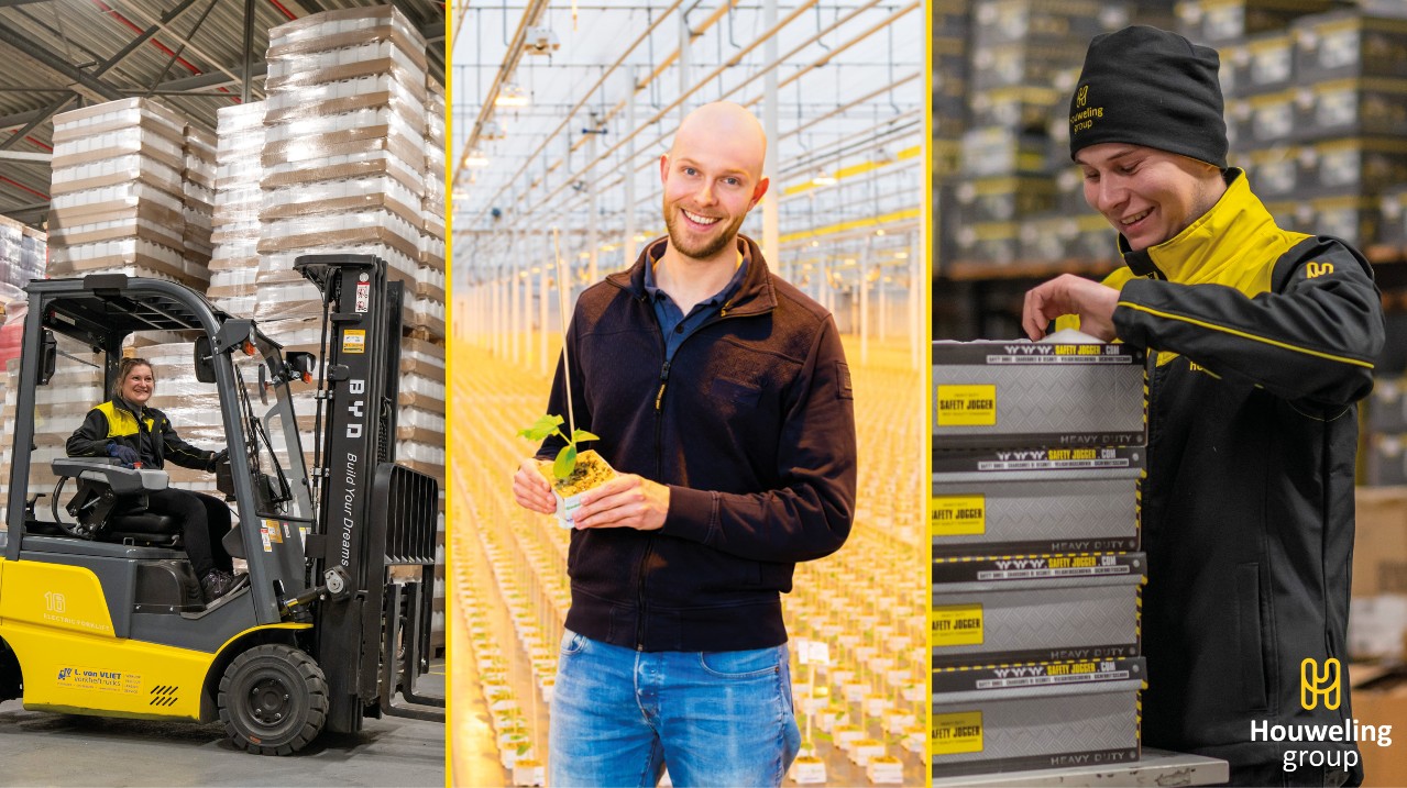 Houweling advertorial verpakken