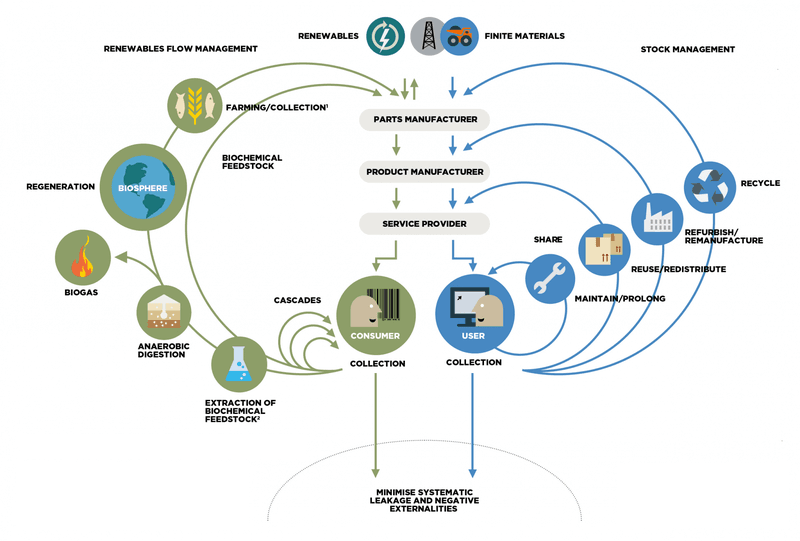 Het vlindermodel van de Ellen MacArthur Foundation bestaat uit een technische cirkel, die de technische, niet-composteerbare materialen omvat, zoals kunststoffen en metalen, en een biologische cirkel met de natuurlijke materialen (biobased, biodegradable en renewable). 