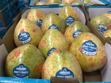 YEx verduurzaamt verpakking voor citrusvrucht pomelo