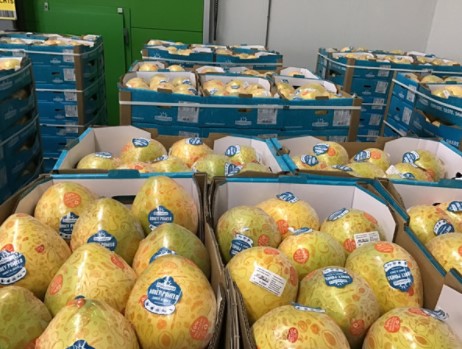 Yex: nieuwe verpakking voor citrusvrucht pomelo