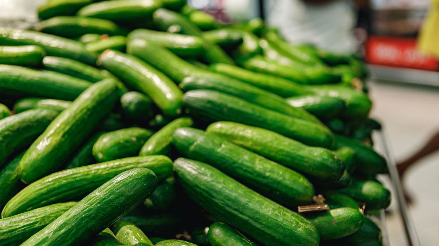 Saveggy en odlarna.se gaan een eetbare, plantaardige beschermende barrière voor komkommers op de Zweedes markt brengen.