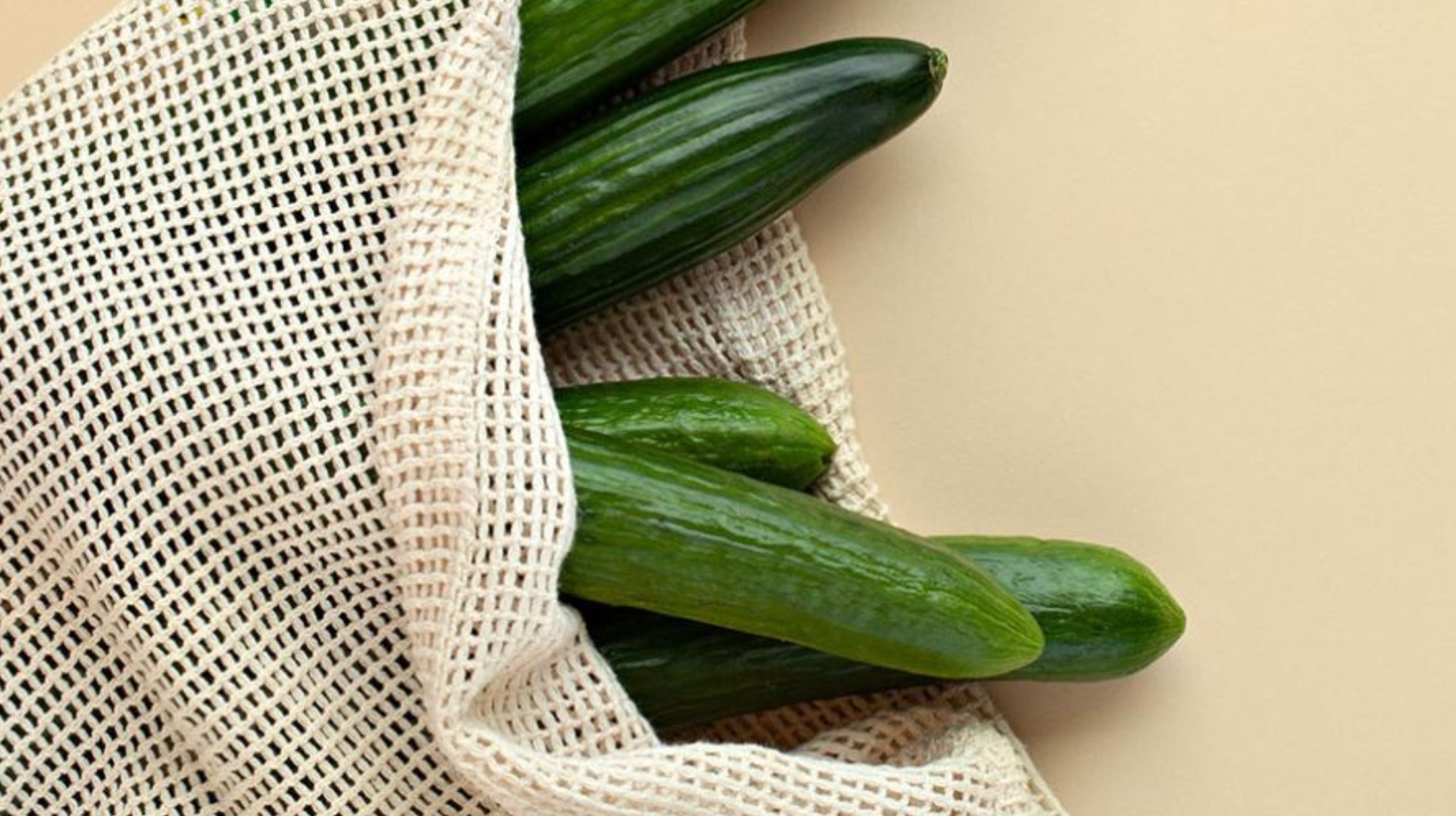 Saveggy start test met plasticvrije komkommerverpakking