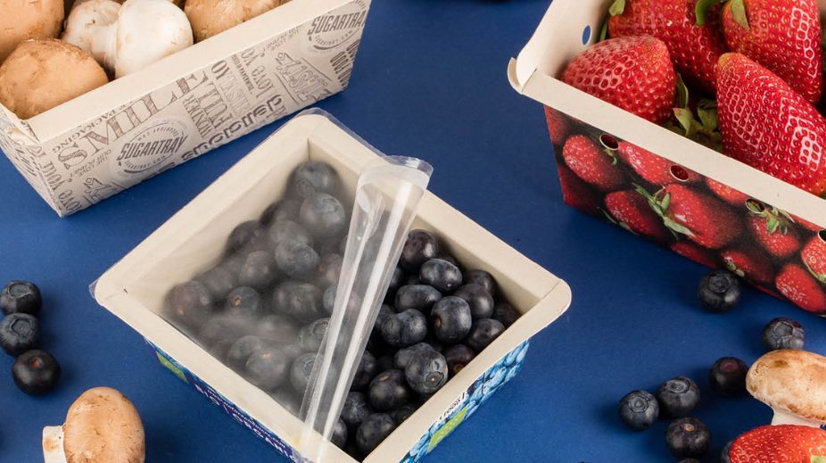 Skillpack: Duurzaam verpakken in de AGF-sector met karton als alternatief voor plastic