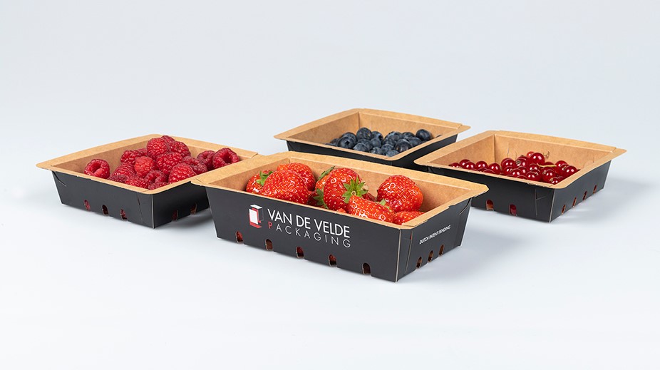 Van de Velde Packaging pakt uit op Fruit Logistica 2024 met verpakkingsoplossingen in karton.